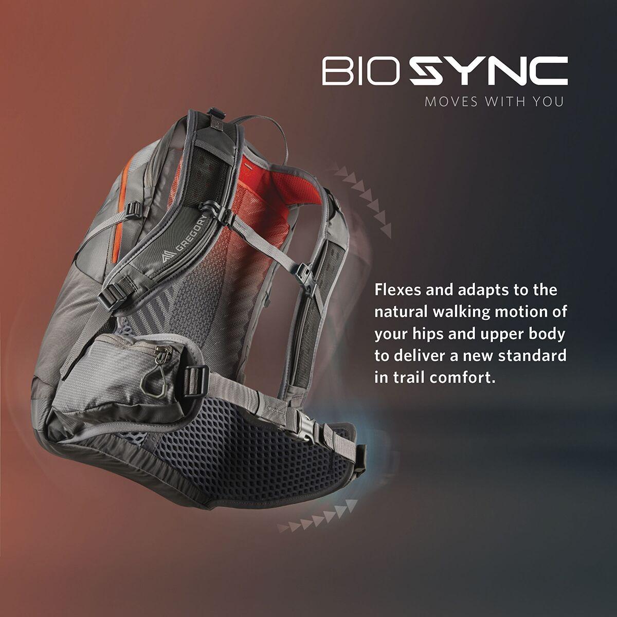 Gregory Miko 15L Daypack | Sumac Red