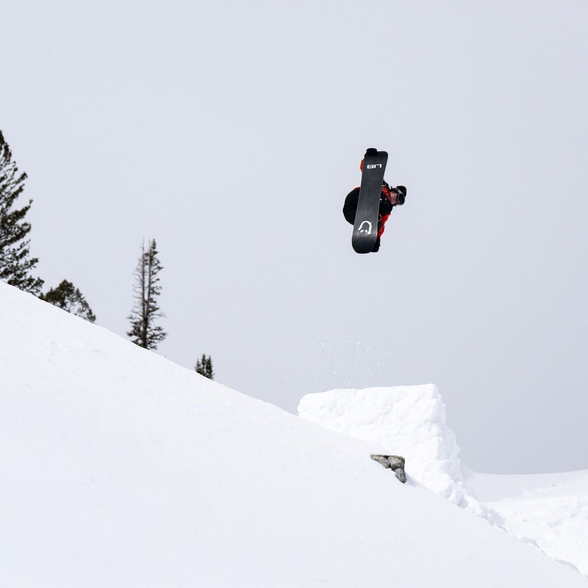 Lib Tech DPR Snowboard - 2026 | One Color