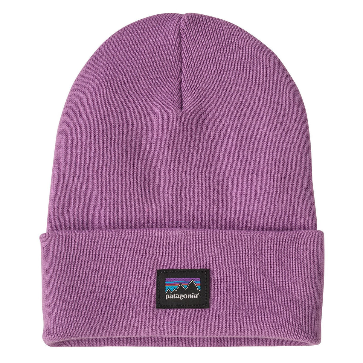 Patagonia Everyday Beanie | Brisk Purple