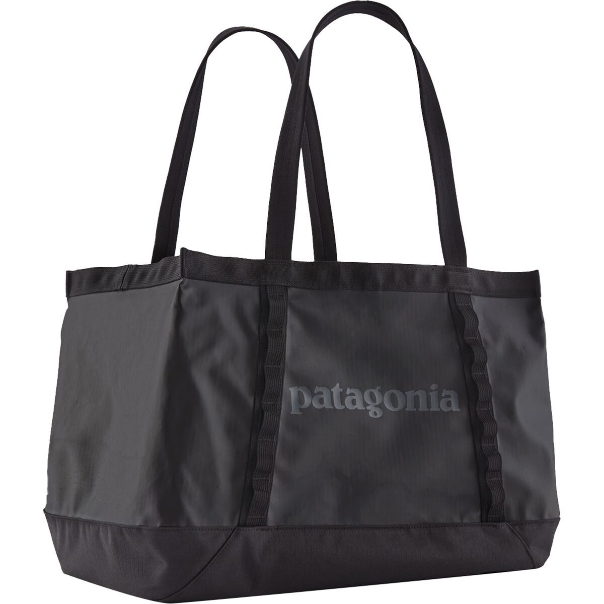Patagonia Black Hole 25L Tote | Black