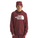 The North Face Tekno Pullover Hoodie - Men's  | Sumac