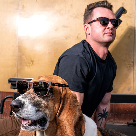 Goodr OG Polarized Sunglasses | Bosley's Basset Hound Dreams