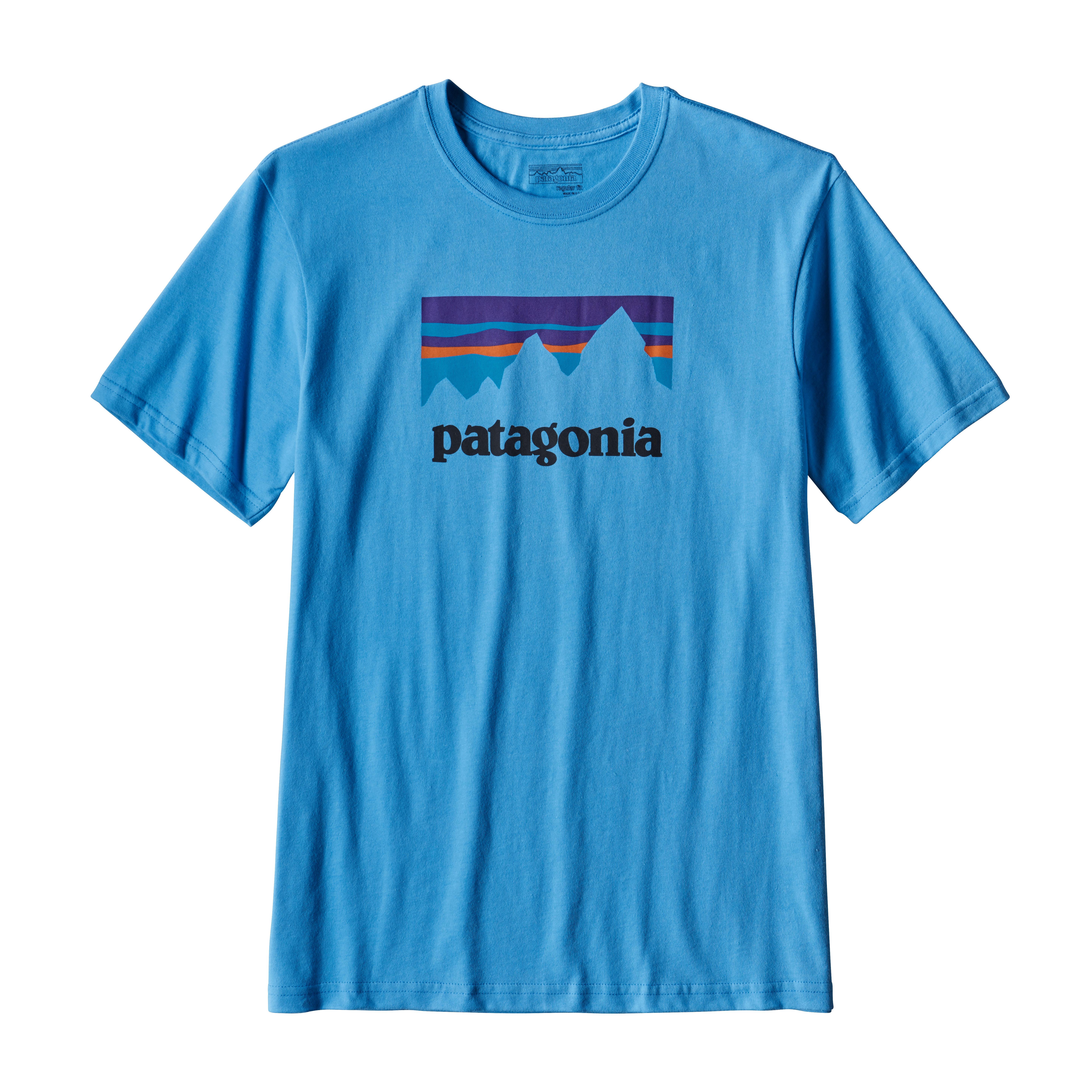 patagonia men tshirt