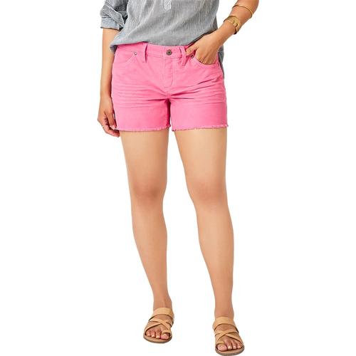 Carve Designs Oahu Short - Women's