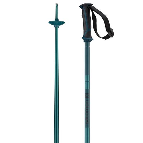 Salomon Artic Ski Pole