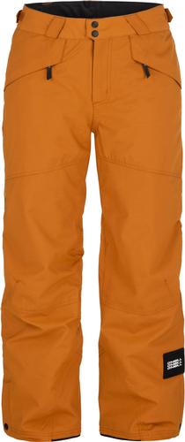 O'Neill Hammer Insulated Pant - Men's