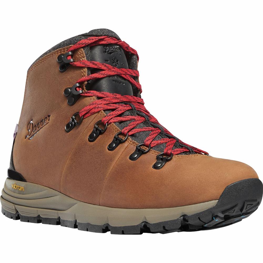 Danner Mountain 600 Insulated Boot - Men's | SkiCountrySports.com