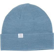 Coal FLT Beanie GREYBLU