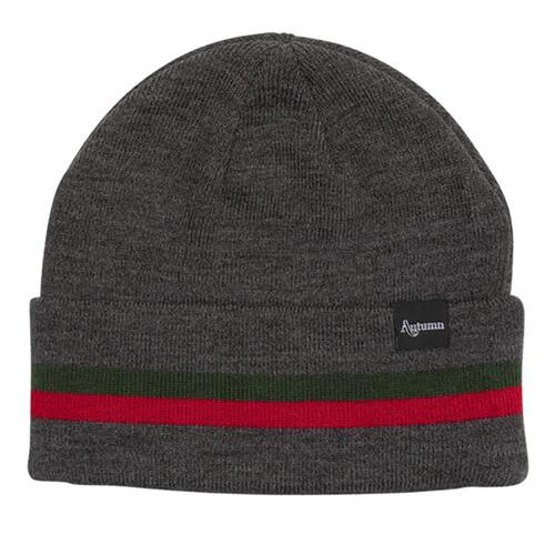 Autumn Band Beanie