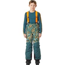 Helly Hansen Jr No Limits 2.0 Pant - Kids'