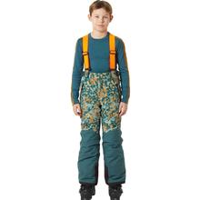 Helly Hansen Jr No Limits 2.0 Pant - Boys'