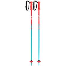 LEKI Rider Ski Poles - Kids' PEROL