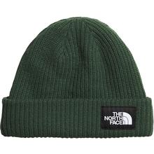 The North Face Salty Lined Beanie IOP