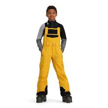 Obermeyer Connor Bib Pant - Teen Boys' 23023