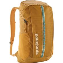 Patagonia Black Hole 25L Backpack PGTA