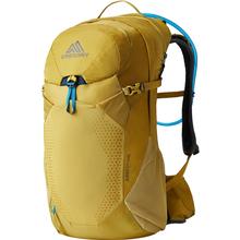 Gregory Juno H20 24L Daypack - Women's MINERAL_YELLOW