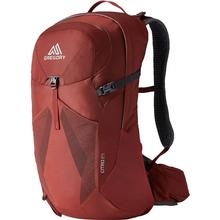 Gregory Citro 24L Daypack BRICK_RED