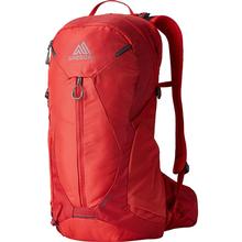 Gregory Miko 15L Daypack SUMAC_RED