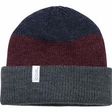 Coal The Frena Beanie CHARCOAL