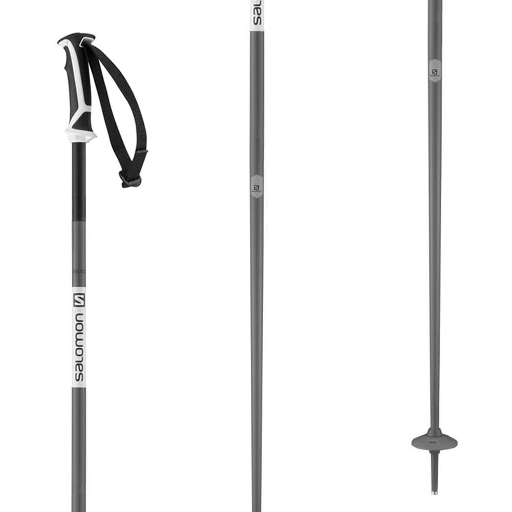 salomon arctic ski poles