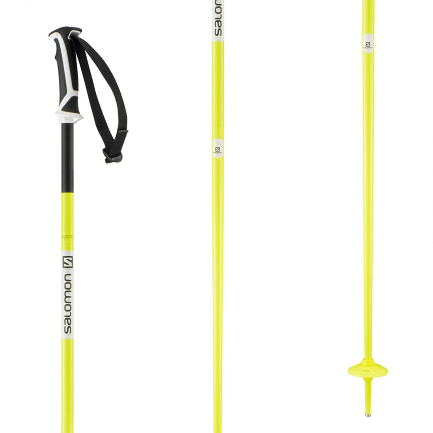 salomon arctic ski poles